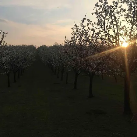 Krasny Srub Na Jihu Brna Hébergement de vacances *
